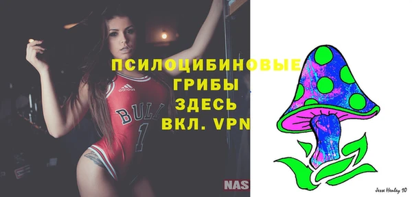 твердый Вязники