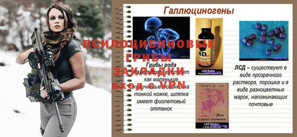 MESCALINE Вяземский